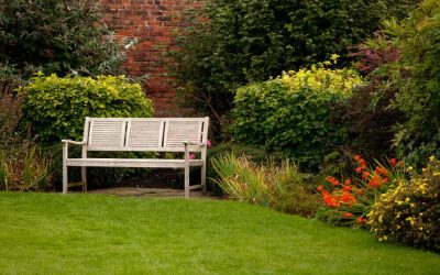 Cara Buat Taman Rumah Indah dan Minimalis